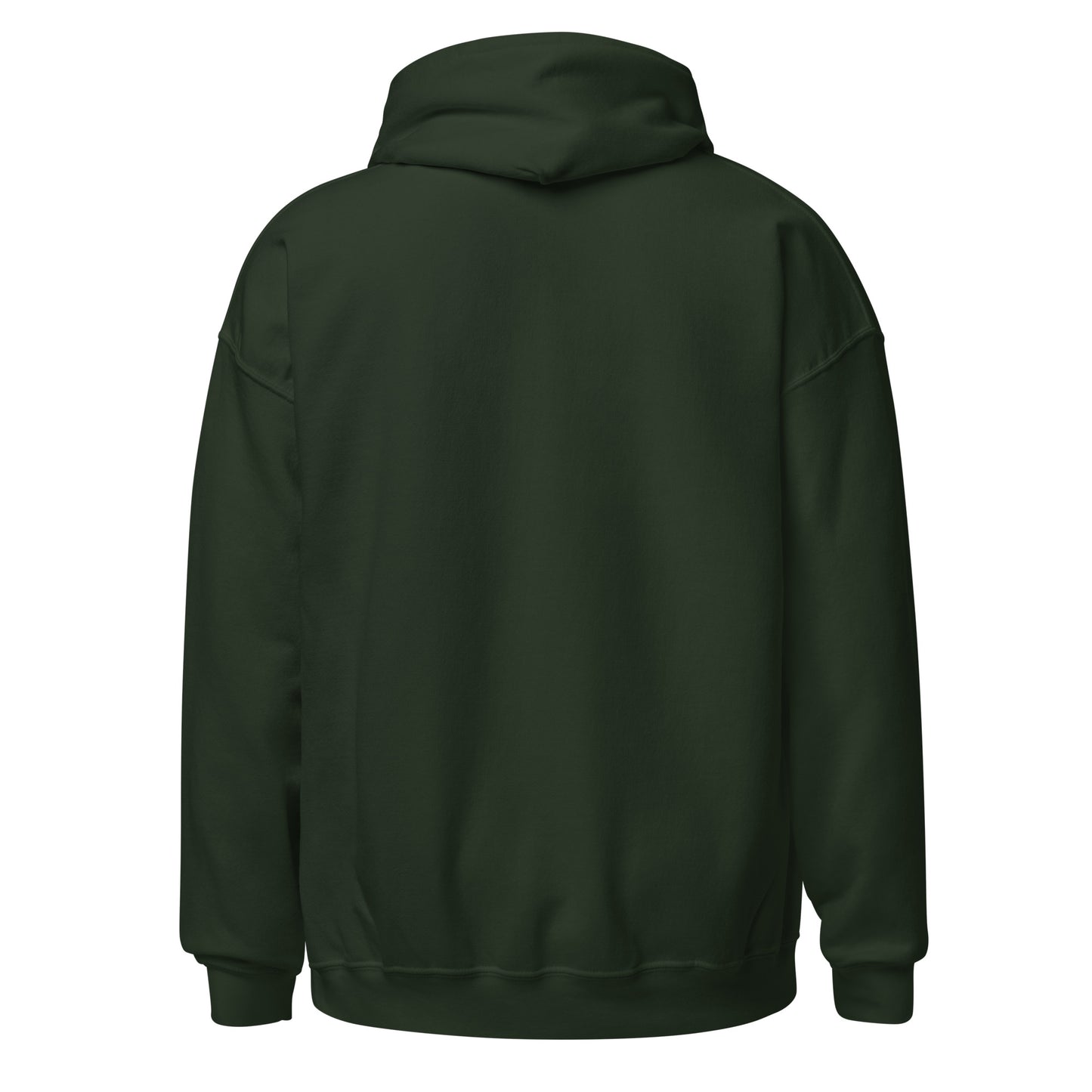 I Run While You Sleep Hoodie