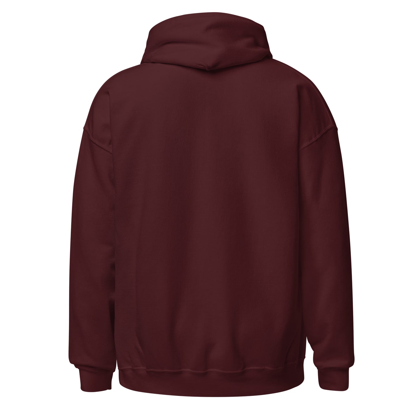 I Run While You Sleep Hoodie