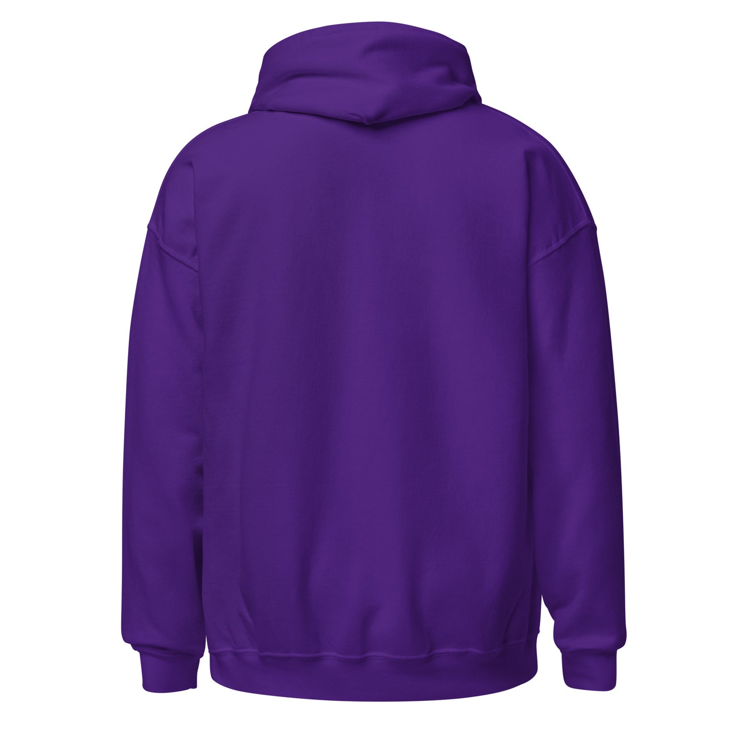 I Run While You Sleep Hoodie